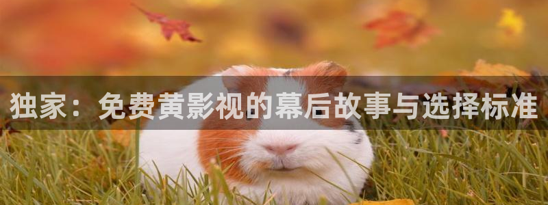 青苹果影院yy6090